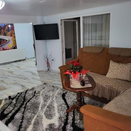 サトゥ・マーレApartament Cu Terasa Si Gratarアパートメント エクステリア 写真