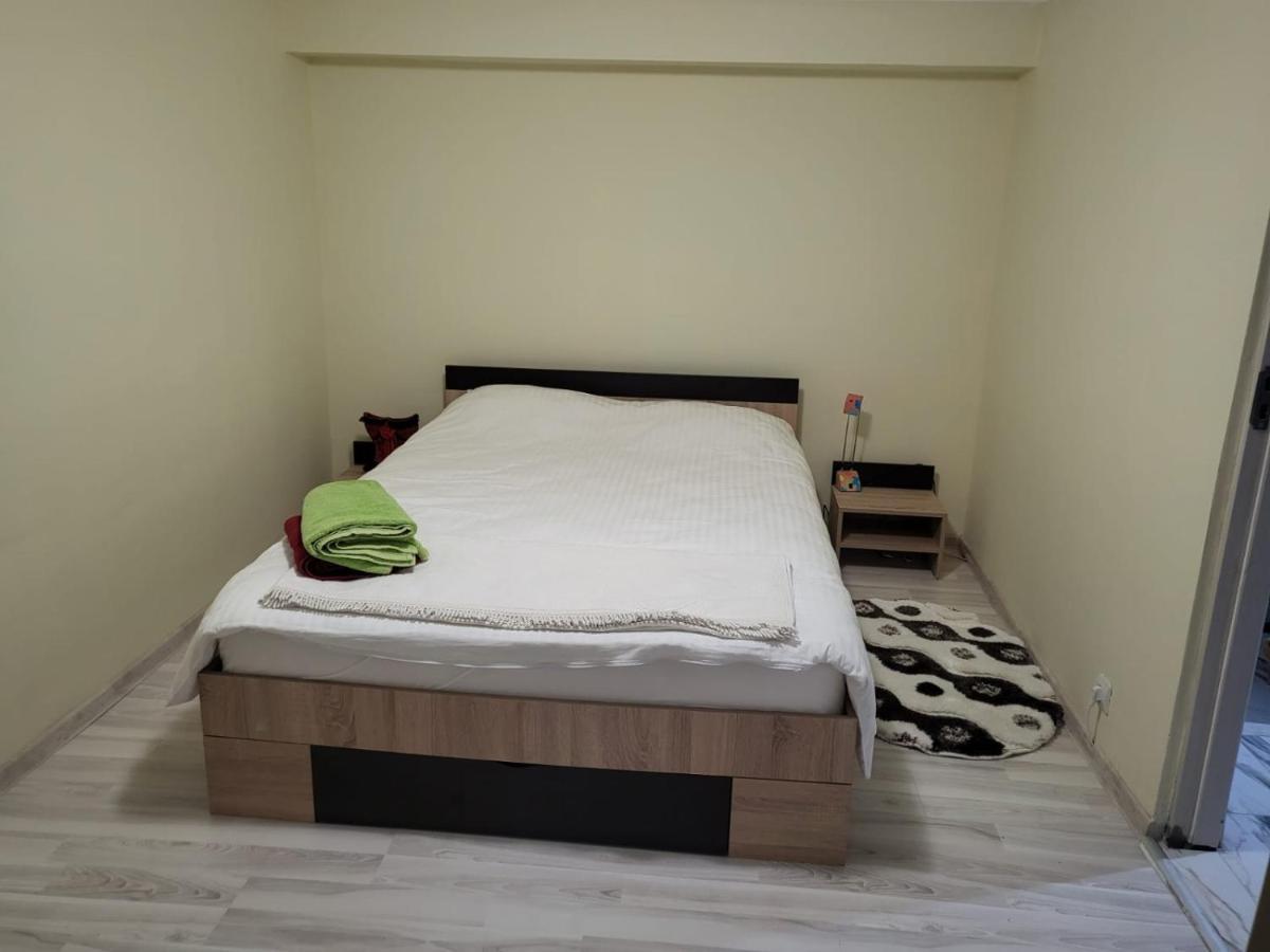 サトゥ・マーレApartament Cu Terasa Si Gratarアパートメント エクステリア 写真